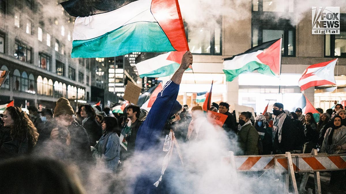 Pro-Palestine protesters march in New York City