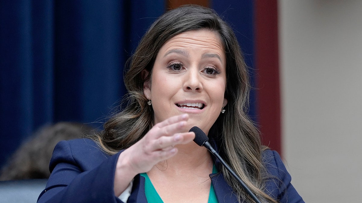 Rep. Stefanik at congressional hearing