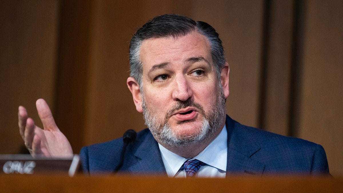 Ted Cruz during Senate hearing