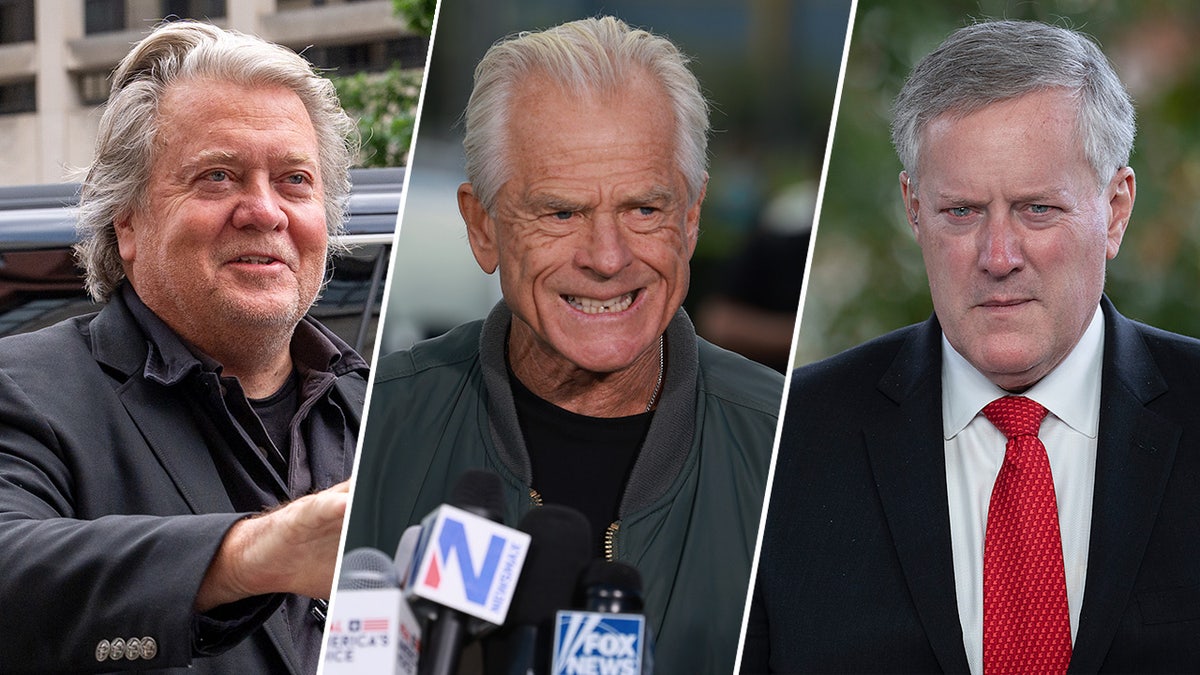 Steve Bannon, Peter Navarro, Mark Meadows