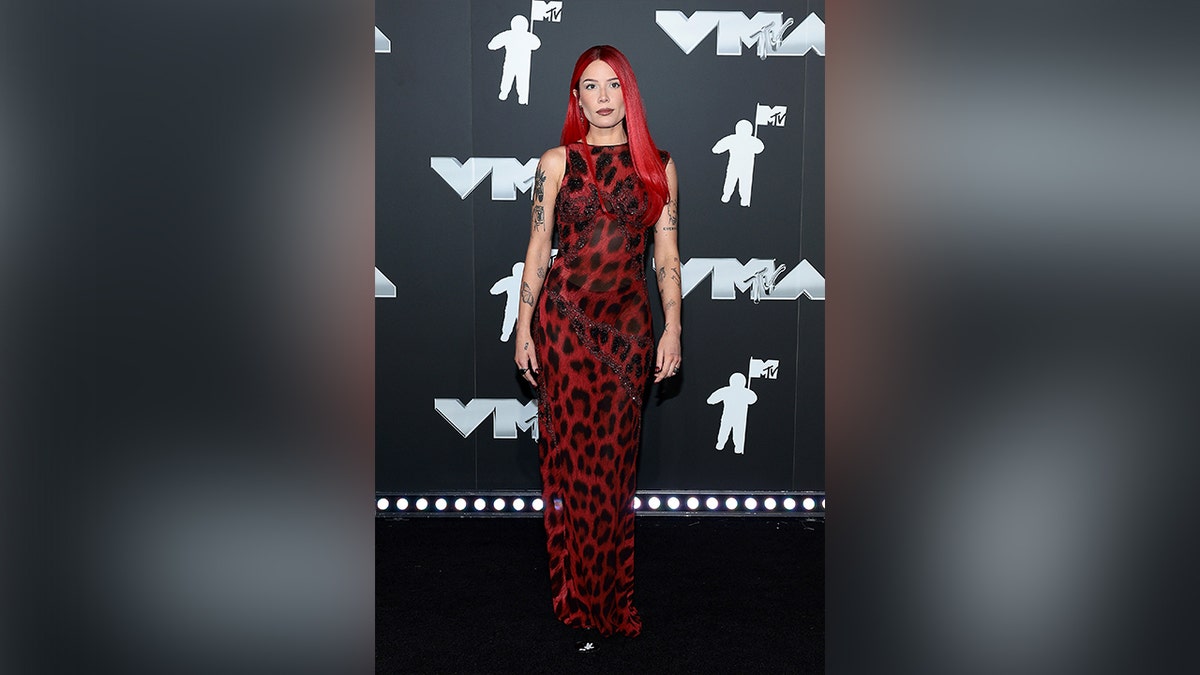 Halsey walked the red carpet at the 2024 MTV VMAs in a red leopard print dress.