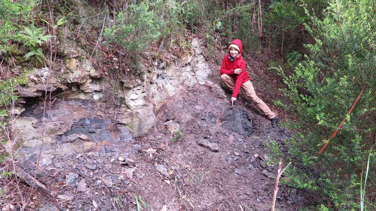 Dr. Miriam Slodownik in ancient rainforest