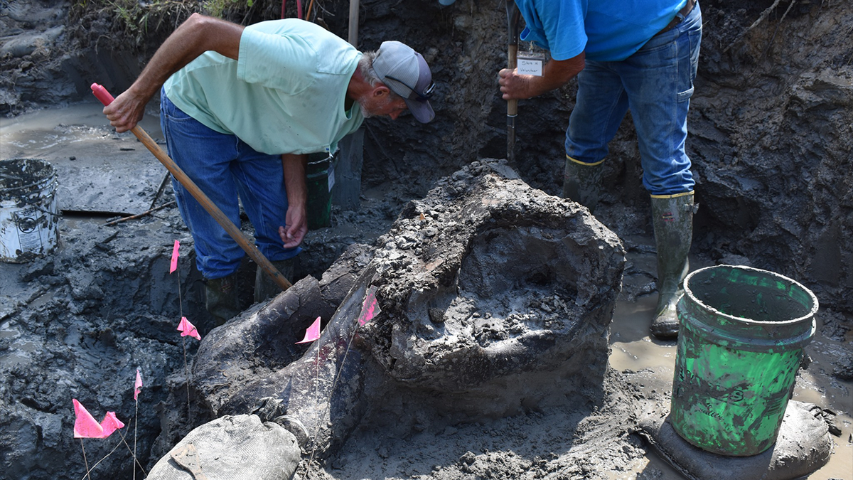 Workers dig up mastodon in Iowa