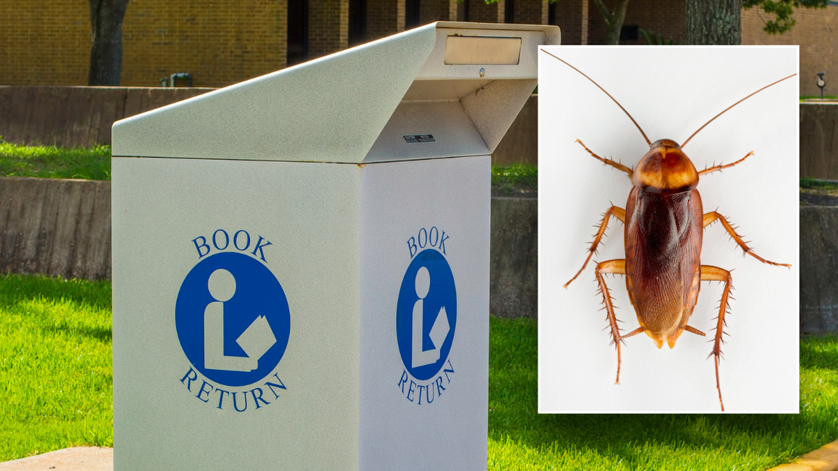 Split image of cockroach, book drop