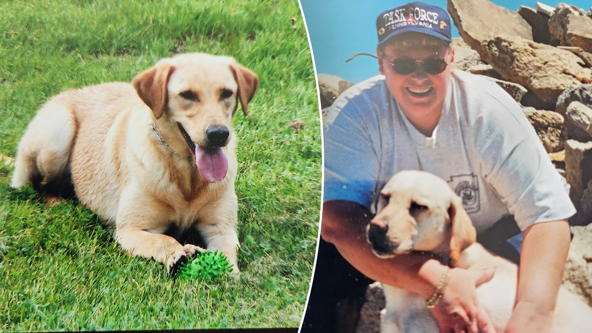 Bobbie Snyder, handler, Willow, search and rescue dog