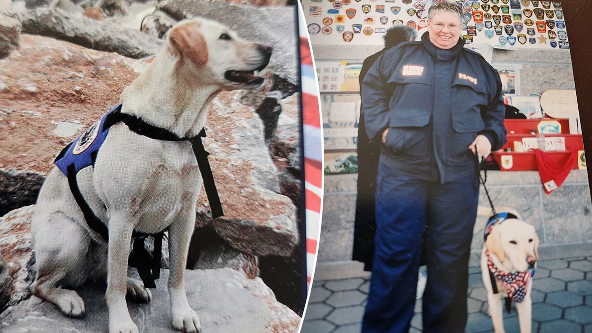 Bobbie Snyder, handler, search and rescue dog, Willow after 9/11