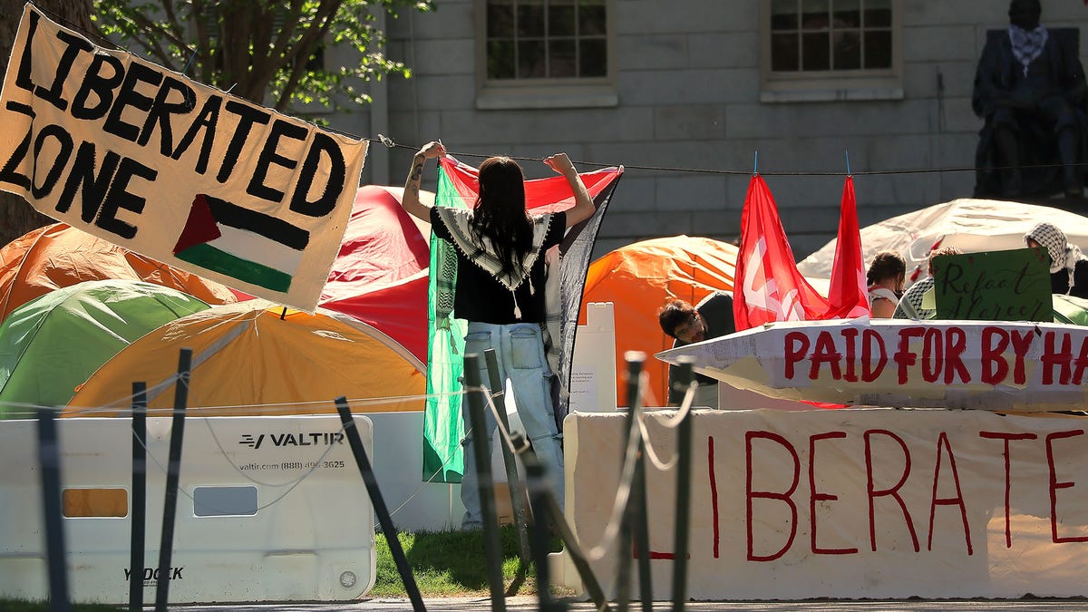 Harvard encampment