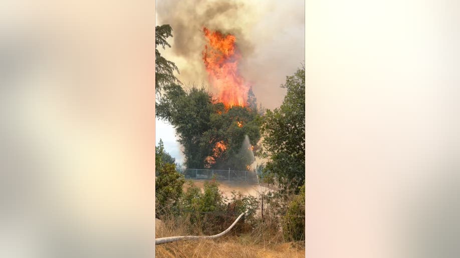 fire at Kibbutz Manara