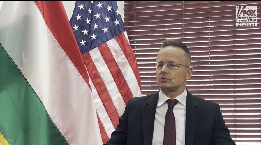 Hungarian FM discusses the Trump effect