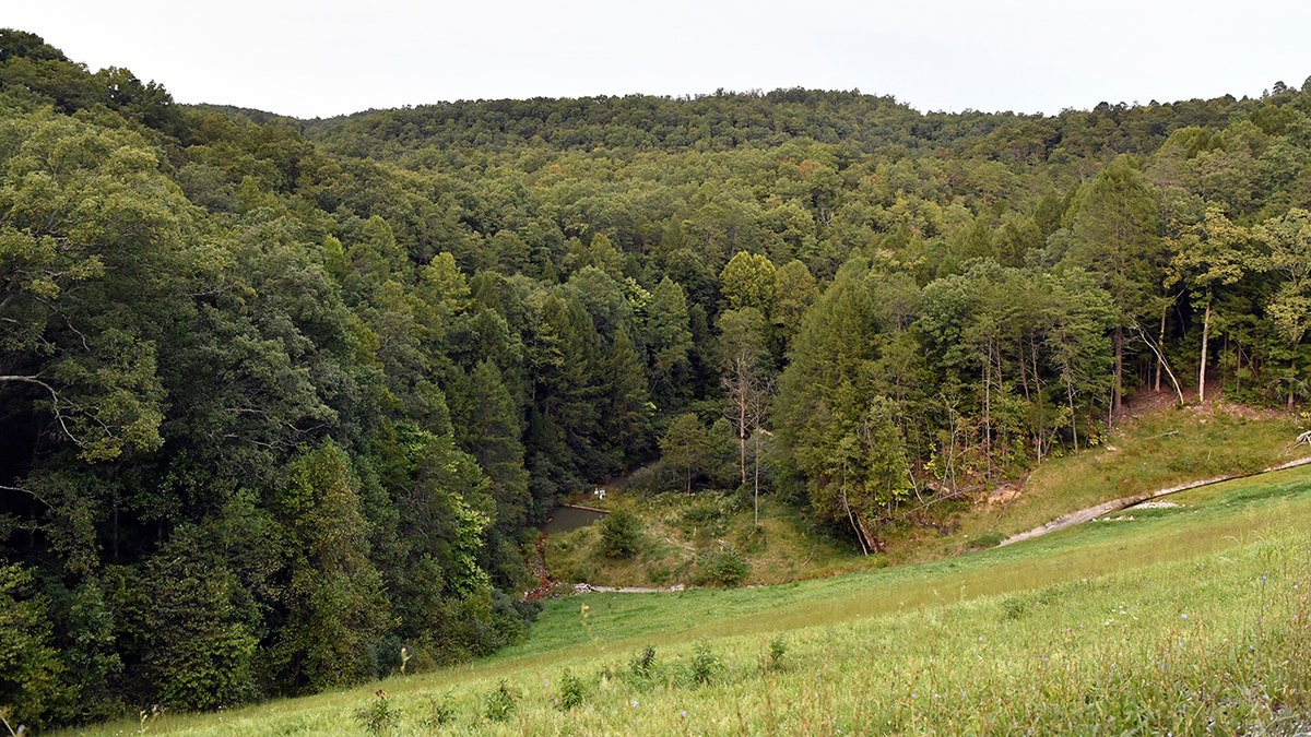 wooded search area