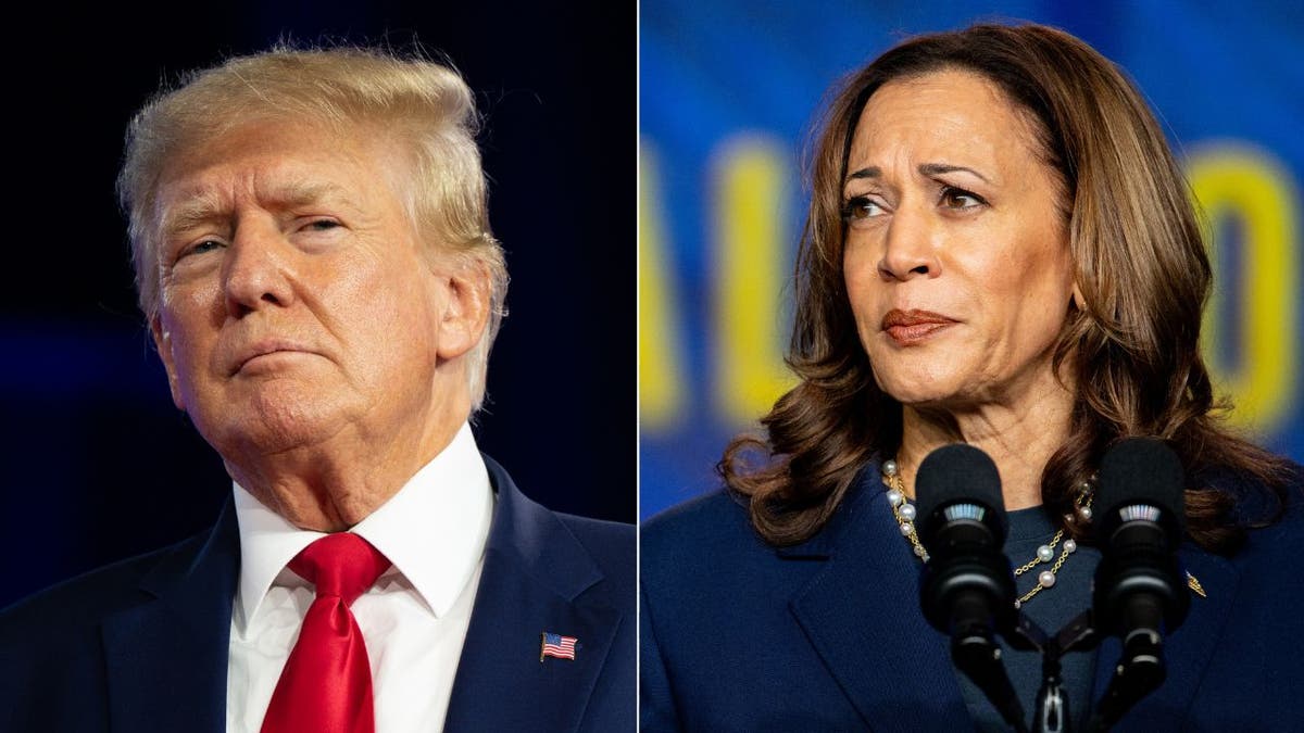 Trump Harris side by side split