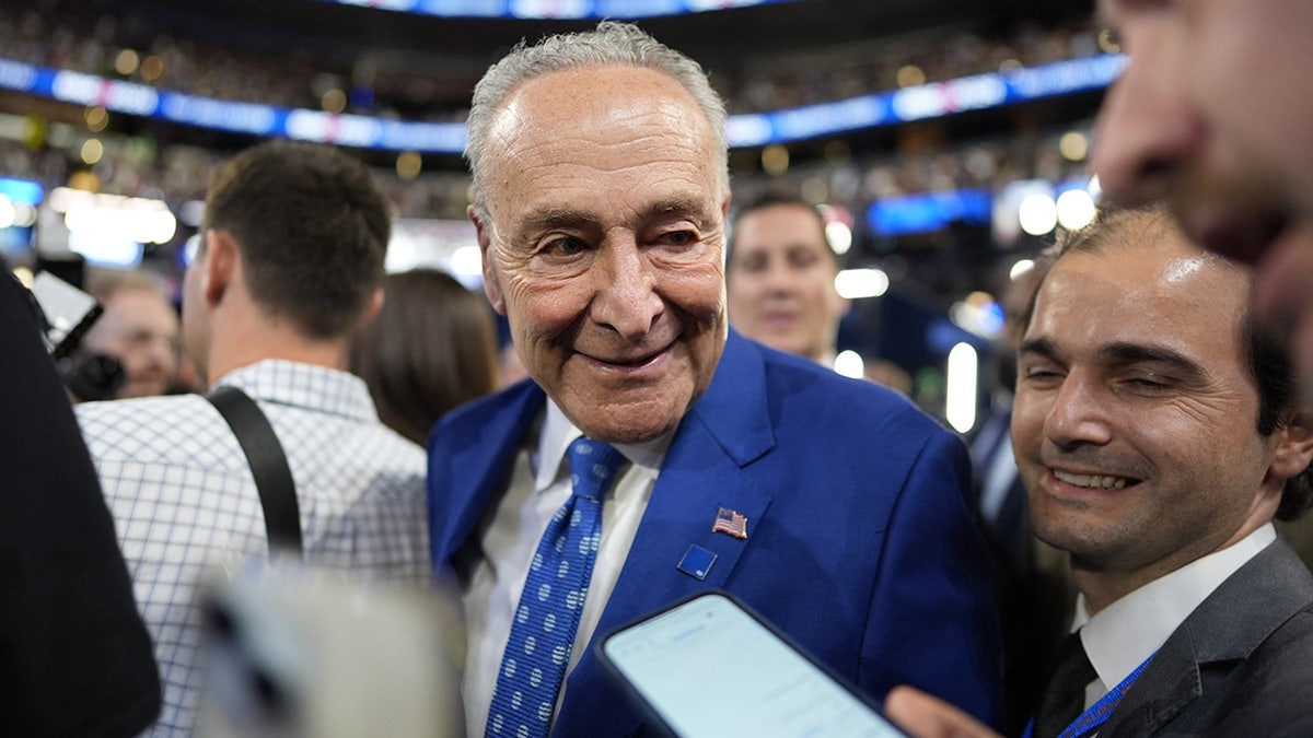 Chuck Schumer looks on at the United Center, on Day 2 of the Democratic National Convention