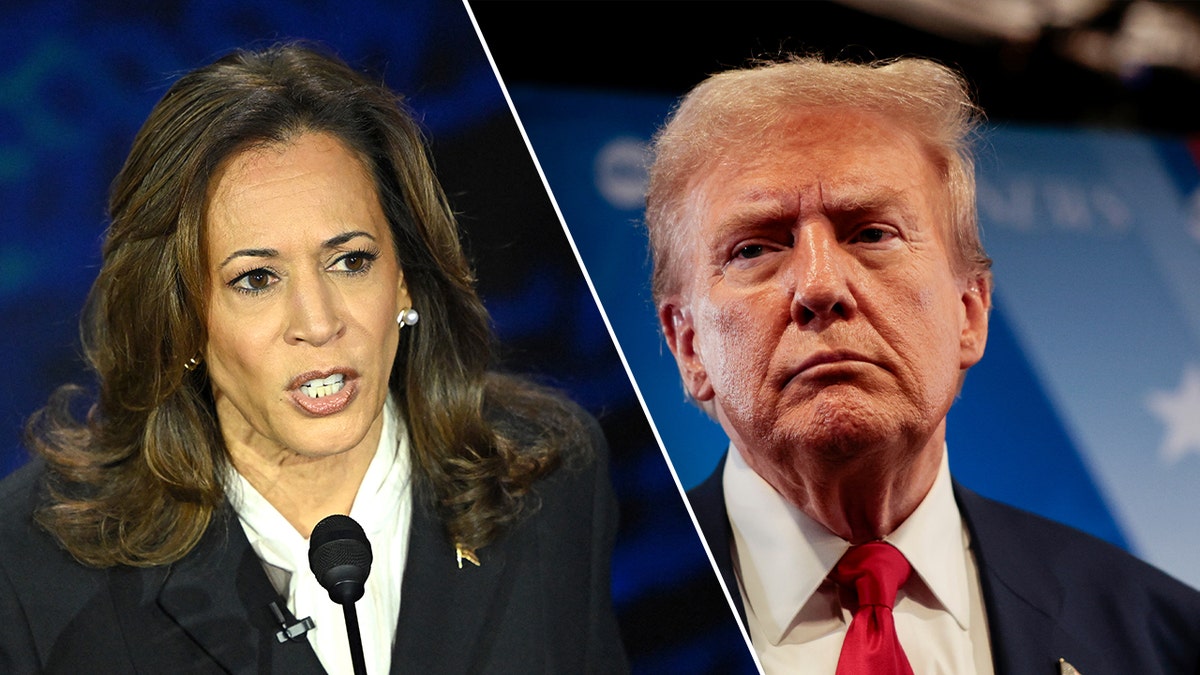 Kamala Harris and Donald Trump in photo split