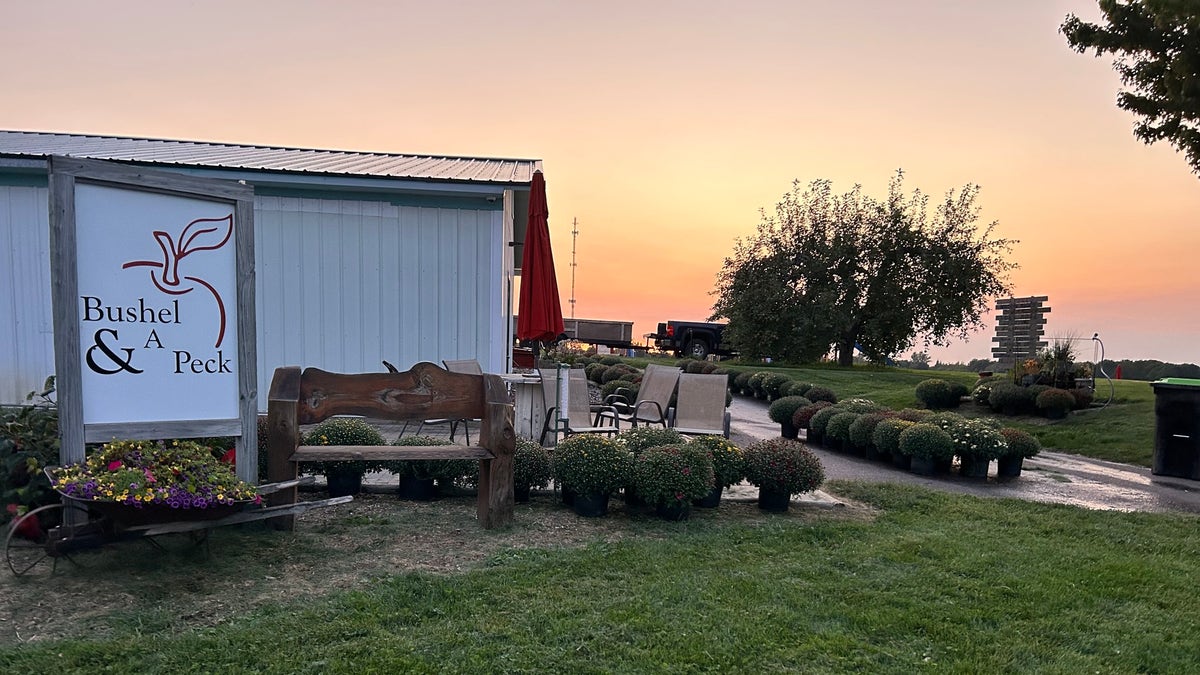 Bushel and a Peck Apple Orchard