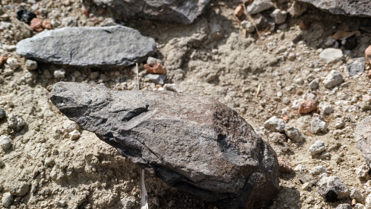 Stone tools in Kenya