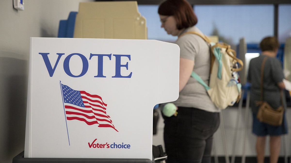 Minnesota early voting