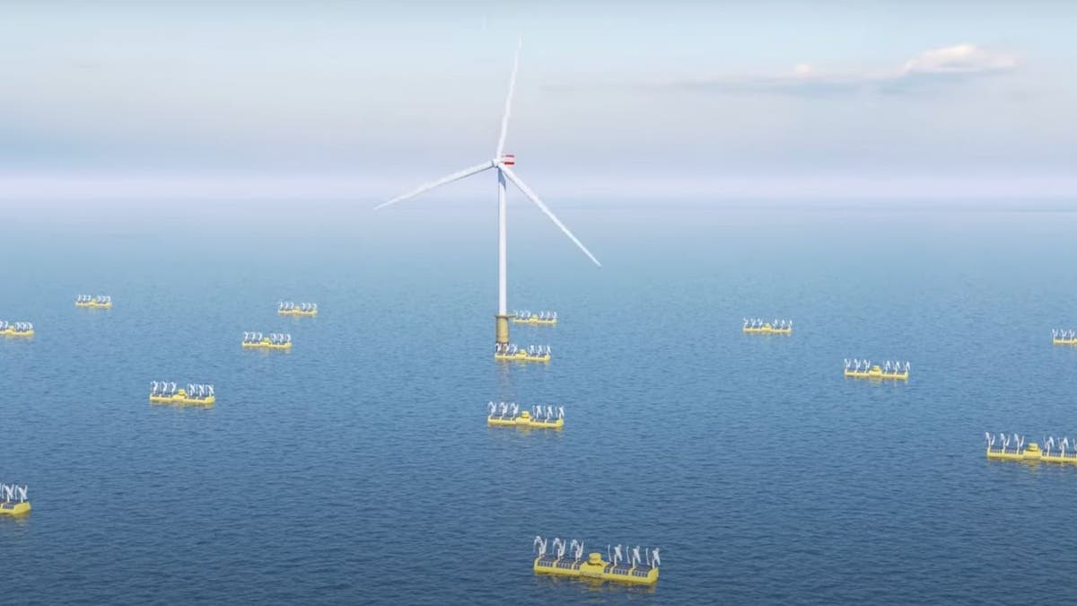 Floating energy platform could change way you get power in future