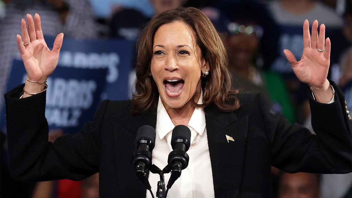 Vice President Kamala Harris closeup shot 