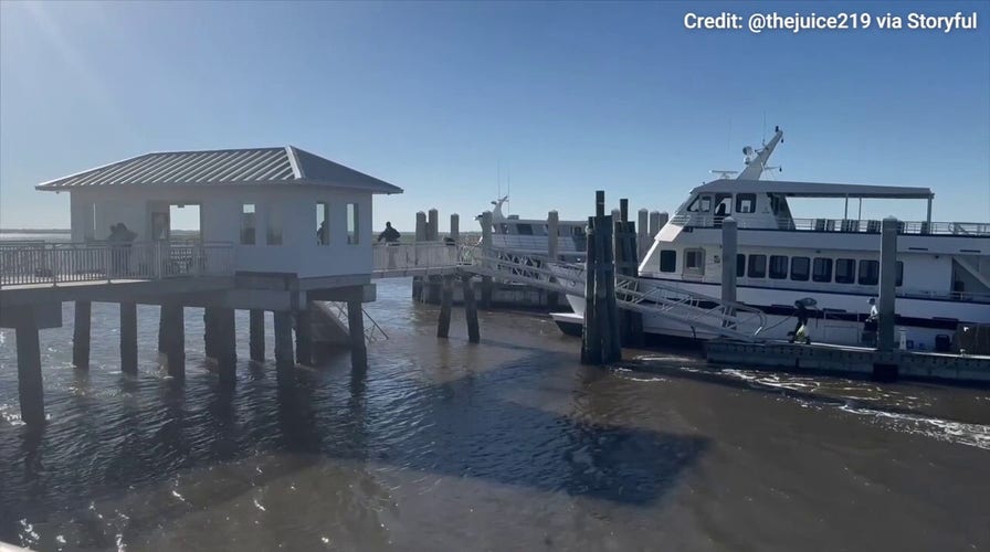 Georgia dock walkway collapse aftermath caught on video