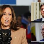 Harris silent after GOP leaders say ‘fascist’ rhetoric ‘risks inviting’ another Trump assassination attempt