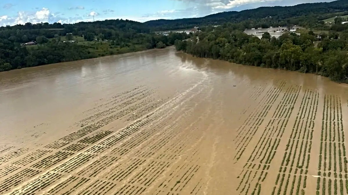 A flooded TN farm