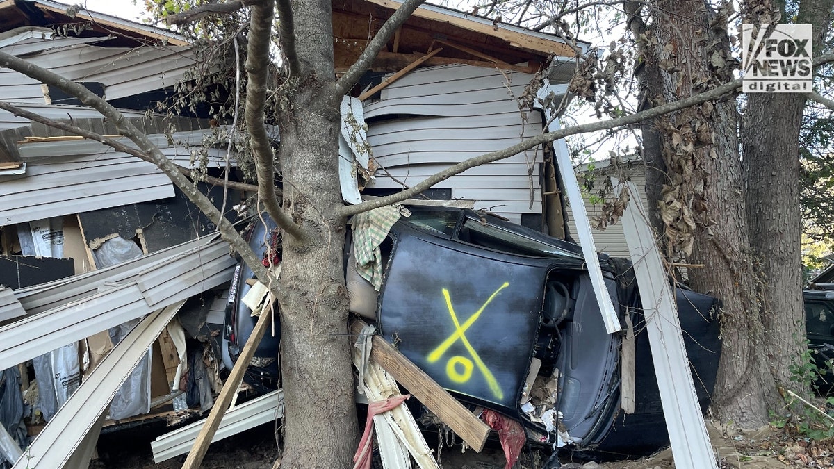 A car crushed in between a house and tree has a yellow "X" spray-painted on it, meaning authorities did not find anyone inside.