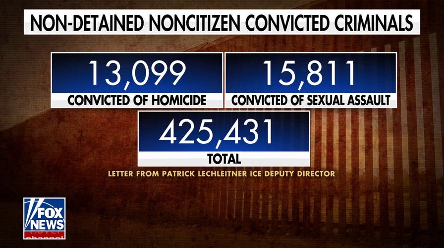 Over 13K illegal immigrants convicted of murder have been released into US