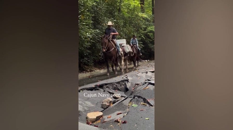 Mules help deliver supplies to communities in need in North Carolina