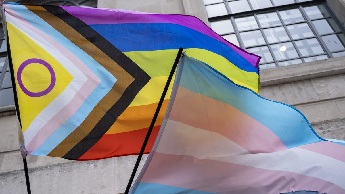 intersex and trans pride flags on display