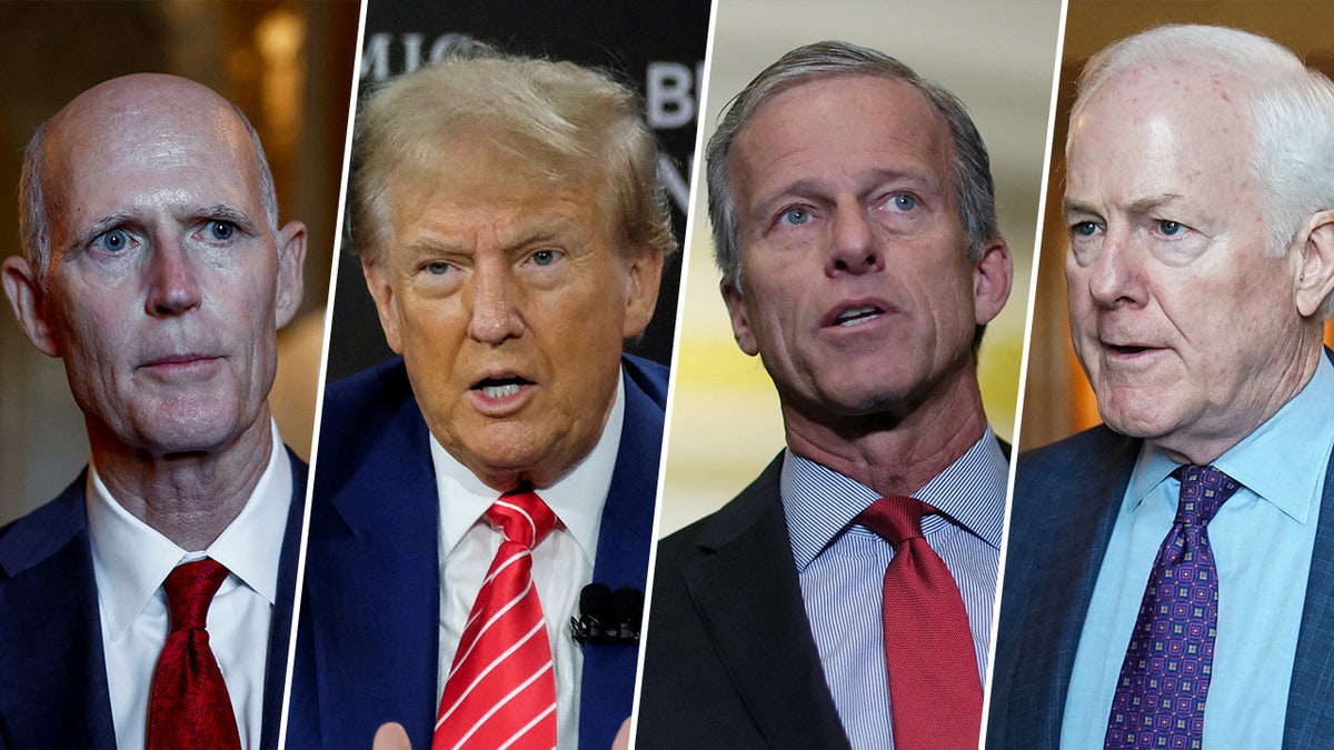 Rick Scott, Donald Trump, John Thune, John Cornyn