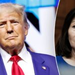 Trump endorses California’s Rep. Michelle Steel: ‘Tremendous Champion’