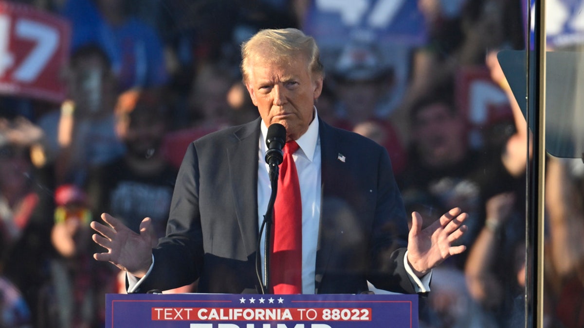 Donald Trump closeup shot from rally 