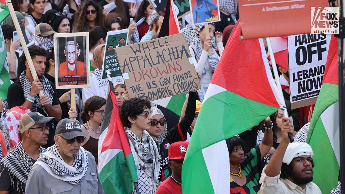 Pro-Hamas protestors wave flags an carry placards as they march in Raleigh, NC