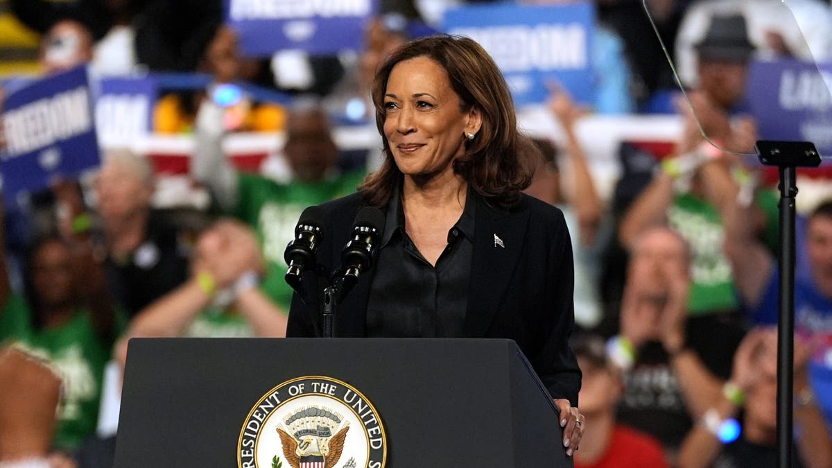 Kamala Harris closeup shot from campaign event