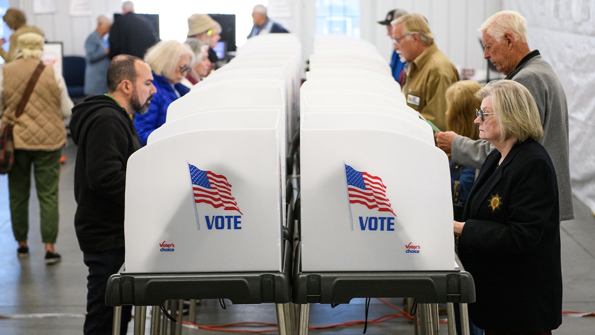 Millions of early in-person and mail-in ballots have been cast for the 2024 elections.