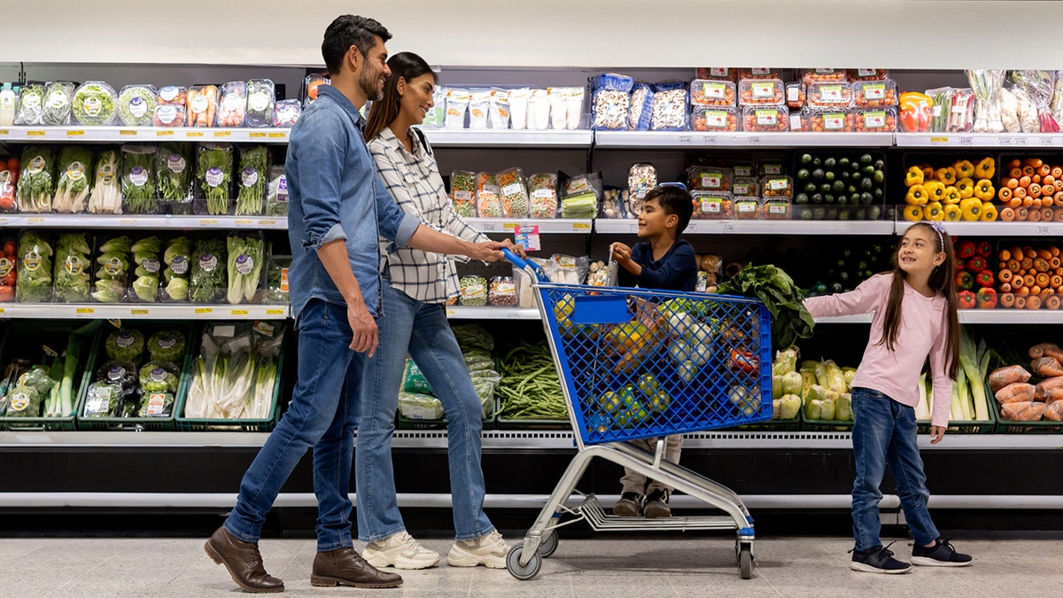 family using a shopping cart while buying groceries at the supermarket