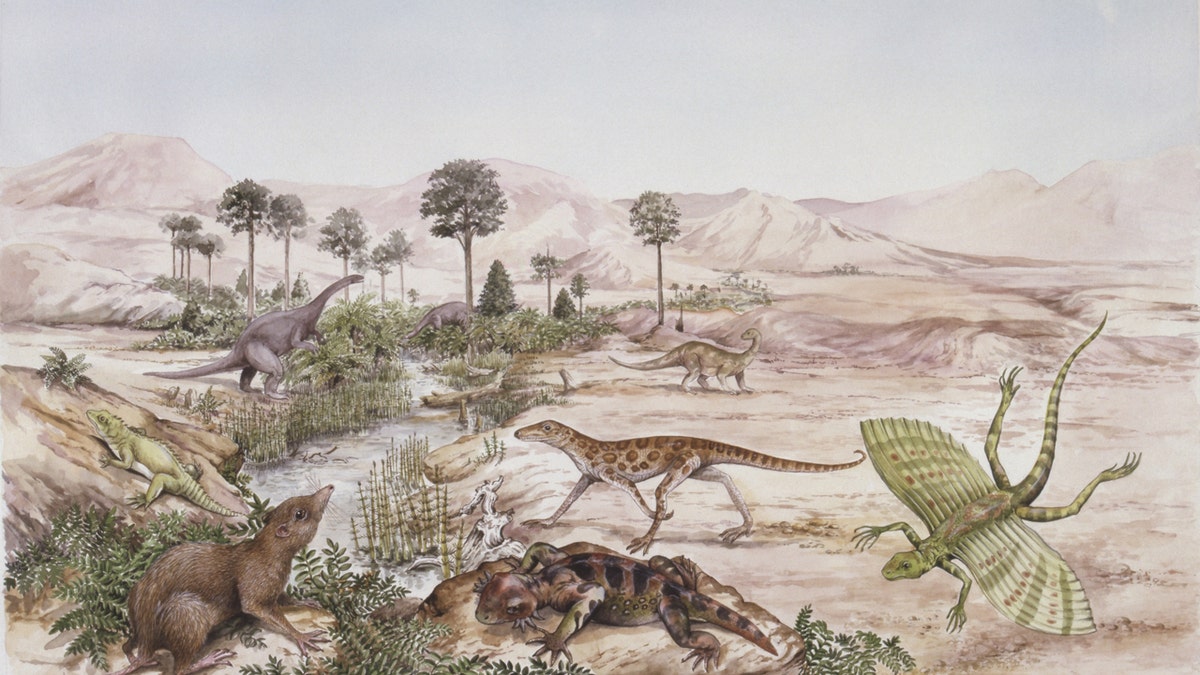 Illustration of prehistoric animals