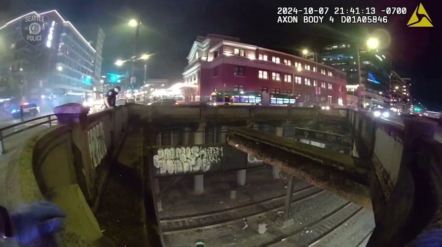 Seattle police rescue man who fell off ledge near train tracks