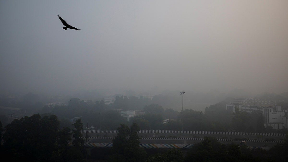 Traffic passes by on a road as the sky is enveloped with smog after Delhis air quality was classified as "hazardous" amidst severe air pollution, in New Delhi