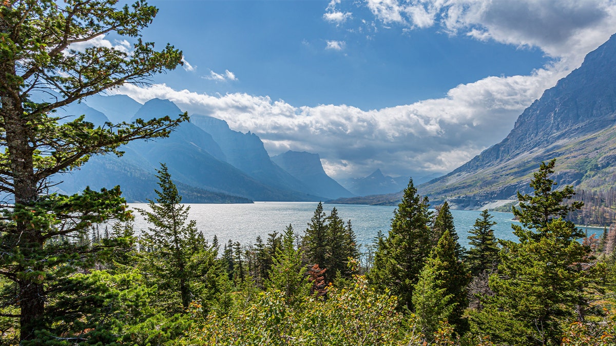 Saint Mary Lake surrounded by mountains near Wild Goose Lookout in Glacier National Park, Montana.