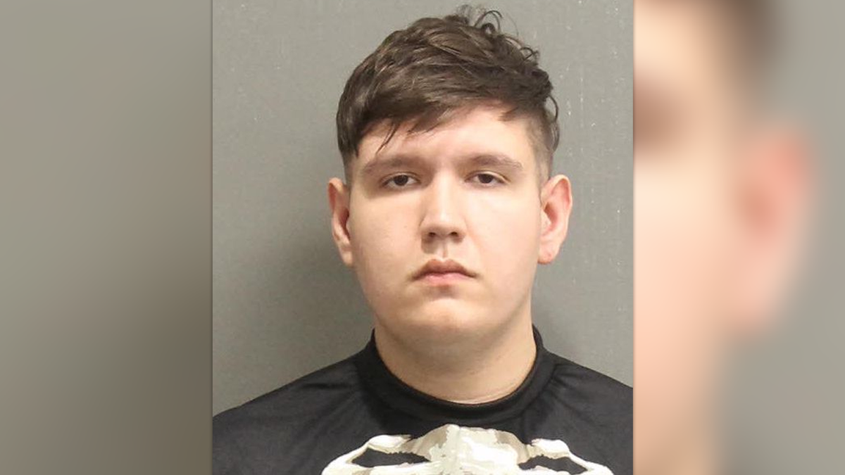 Skyler Robert Philippi, 24, pictured in his Nashville mugshot wearing a skeleton shirt 