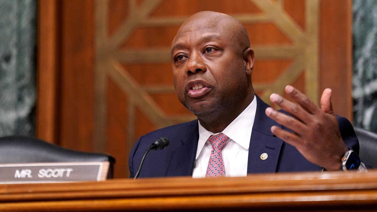 Tim Scott during a Senate committee hearing