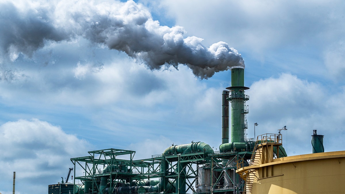 A Valero refinery in Benicia, California, on Monday, March 25, 2024.