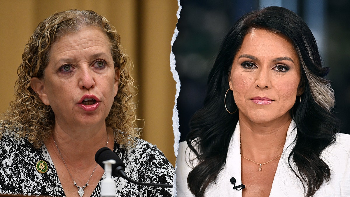 Debbie Wasserman Schultz and Tulsi Gabbard.