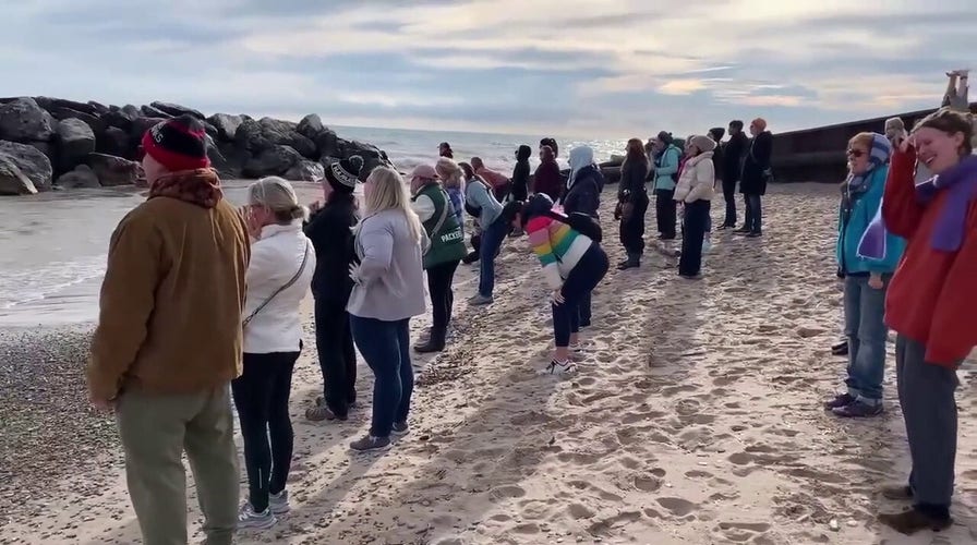 Wisconsin women unleash primal screams in protest of Trump win: video