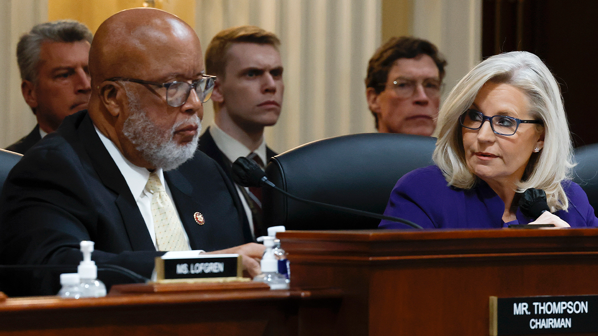 Liz Cheney and Bennie Thompson