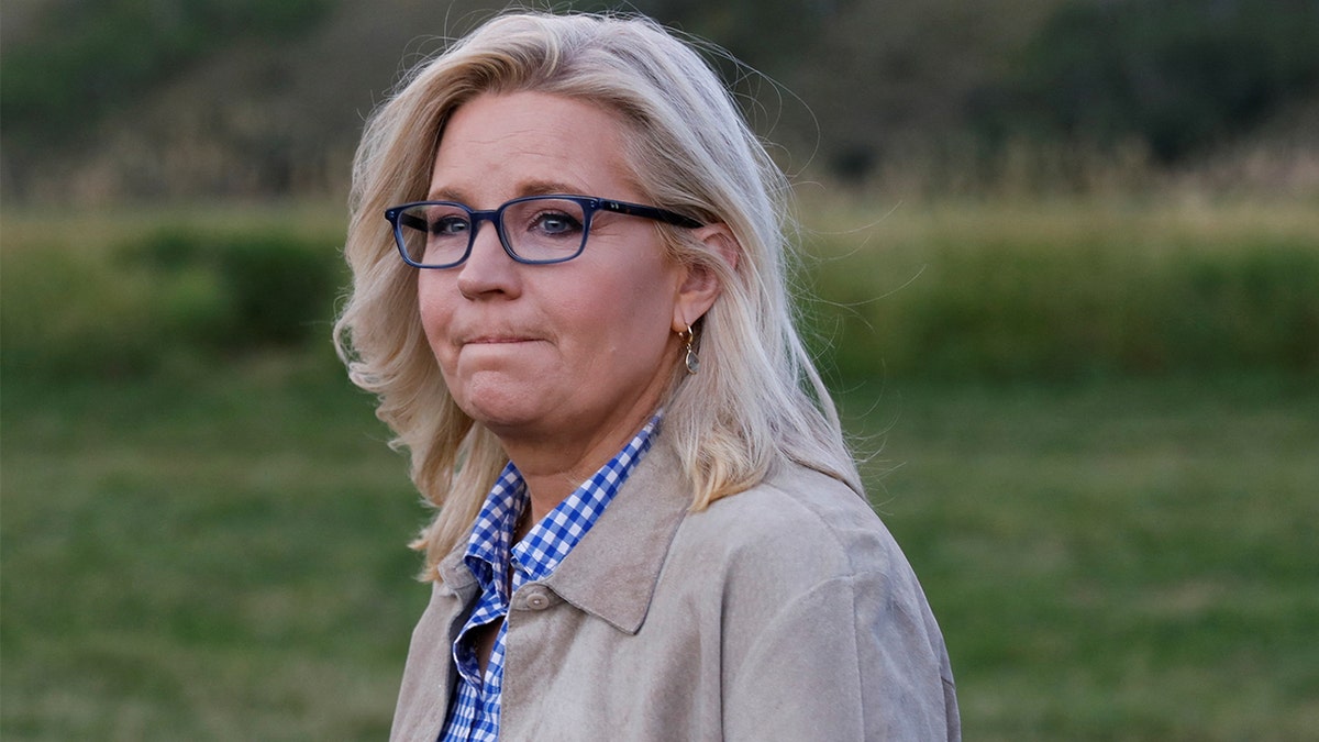 Liz Cheney closeup shot