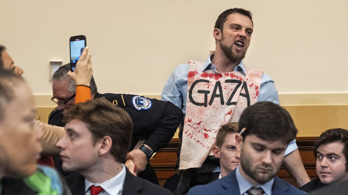 Anti-Israel protester shouts during Blinken hearing