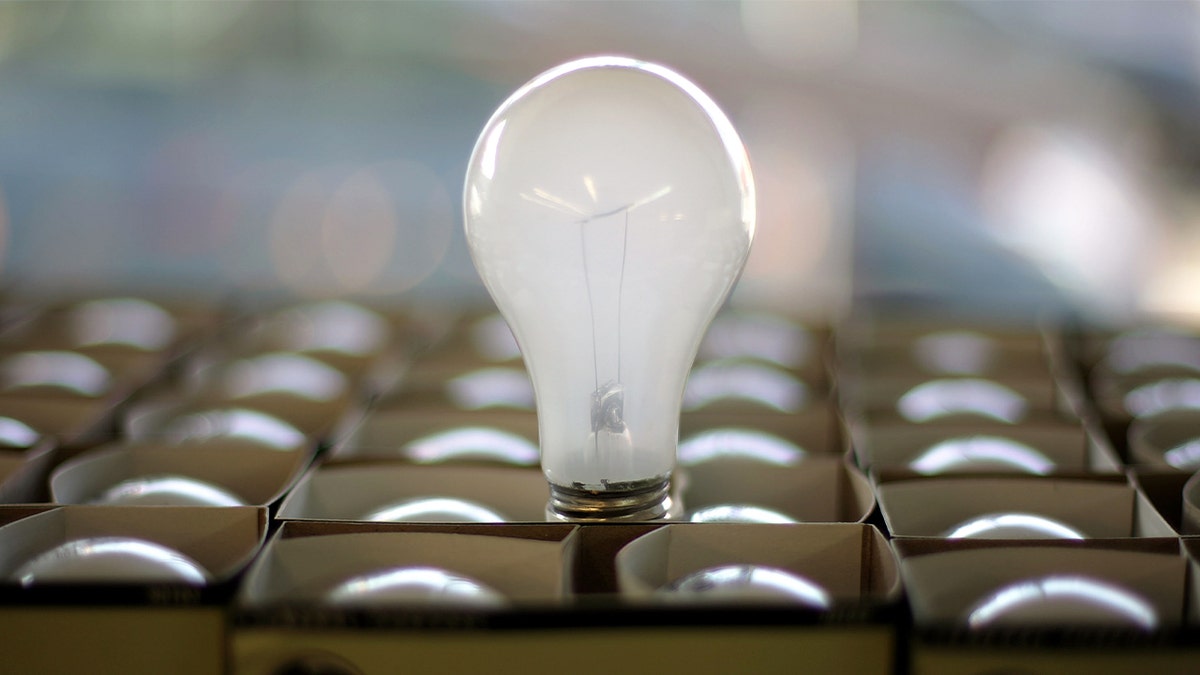 A shelf stocked with incandescent light bulbs at the City Lights Light Bulb Store in San Francisco, California.