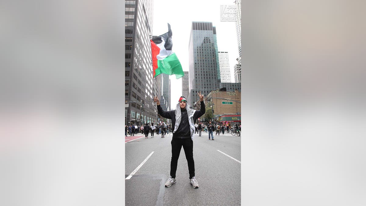 Demonstrators attend a pro-Palestine rally